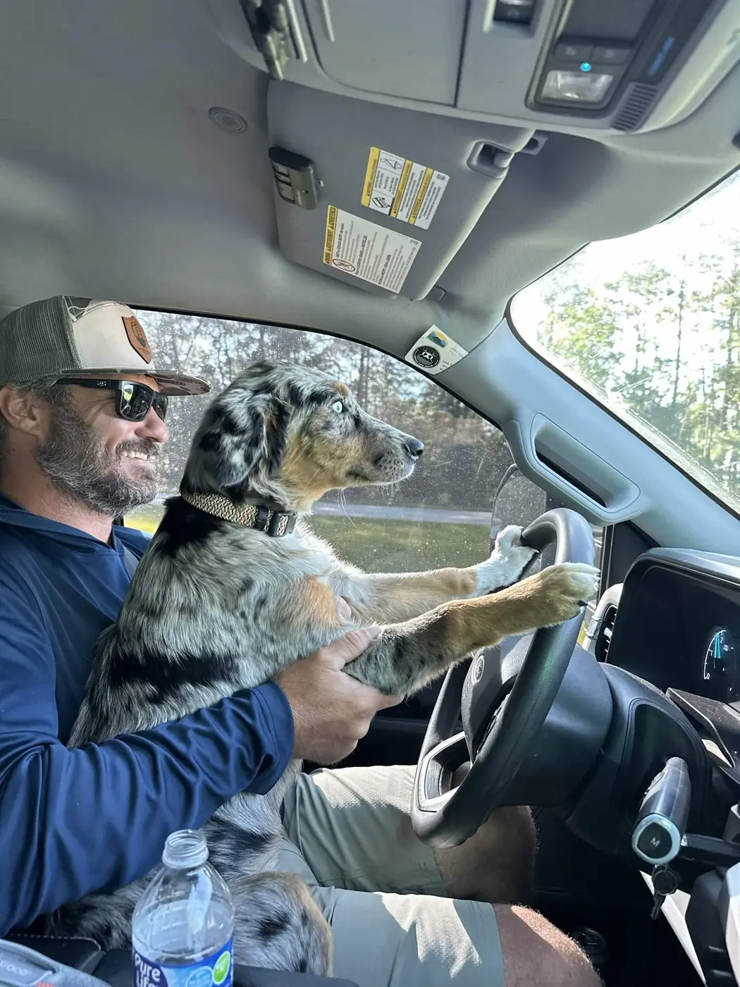 Jeremy, founder of Glassy Mountain Pools, in his truck with his Australian shepherd